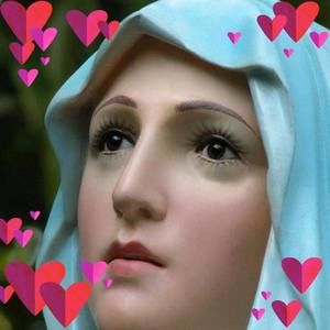 Meet your Posher, Tony